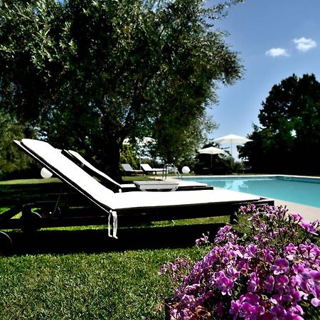 Agriturismo Al Colle ベルティノーロ エクステリア 写真