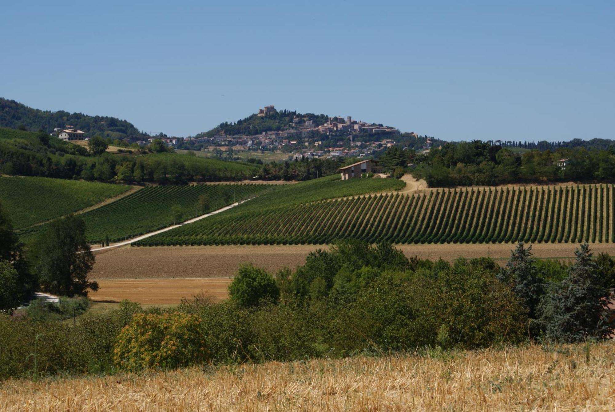 Agriturismo Al Colle ベルティノーロ エクステリア 写真