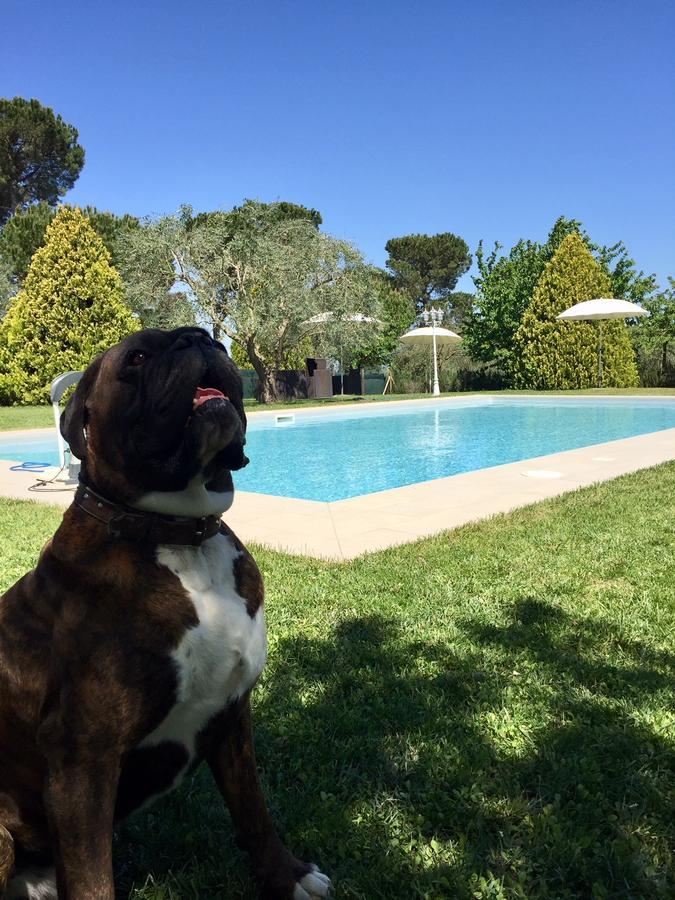 Agriturismo Al Colle ベルティノーロ エクステリア 写真